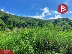 ขายที่ดินสวย เนื้อที่ 2 ไร่ 2 งาน 13 ตารางวา ติดเขาพะแวง อุทัยธานี วิวภูเขา ทำเลดี