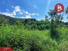 ขายที่ดินสวย เนื้อที่ 2 ไร่ 2 งาน 13 ตารางวา ติดเขาพะแวง อุทัยธานี วิวภูเขา ทำเลดี-202511181733501763462030849.jpg