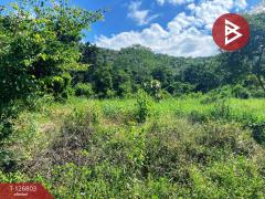 ขายที่ดินสวย เนื้อที่ 2 ไร่ 2 งาน 13 ตารางวา ติดเขาพะแวง อุทัยธานี วิวภูเขา ทำเลดี-202511181733511763462031394.jpg