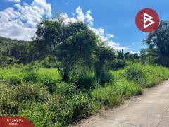 ขายที่ดินสวย เนื้อที่ 2 ไร่ 2 งาน 13 ตารางวา ติดเขาพะแวง อุทัยธานี วิวภูเขา ทำเลดี-202511181733511763462031951.jpg