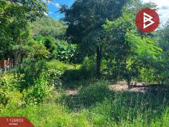 ขายที่ดินสวย เนื้อที่ 2 ไร่ 2 งาน 13 ตารางวา ติดเขาพะแวง อุทัยธานี วิวภูเขา ทำเลดี-202511181733521763462032494.jpg