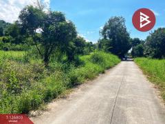 ขายที่ดินสวย เนื้อที่ 2 ไร่ 2 งาน 13 ตารางวา ติดเขาพะแวง อุทัยธานี วิวภูเขา ทำเลดี-202511181733541763462034032.jpg