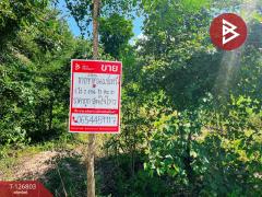 ขายที่ดินสวย เนื้อที่ 2 ไร่ 2 งาน 13 ตารางวา ติดเขาพะแวง อุทัยธานี วิวภูเขา ทำเลดี-202511181733551763462035132.jpg