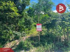 ขายที่ดินสวย เนื้อที่ 2 ไร่ 2 งาน 13 ตารางวา ติดเขาพะแวง อุทัยธานี วิวภูเขา ทำเลดี-202511181733551763462035689.jpg