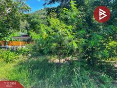 ขายที่ดินสวย เนื้อที่ 2 ไร่ 2 งาน 13 ตารางวา ติดเขาพะแวง อุทัยธานี วิวภูเขา ทำเลดี-202511181733561763462036367.jpg