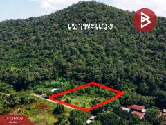 ขายที่ดินสวย เนื้อที่ 2 ไร่ 2 งาน 13 ตารางวา ติดเขาพะแวง อุทัยธานี วิวภูเขา ทำเลดี-202511181733561763462036914.jpg