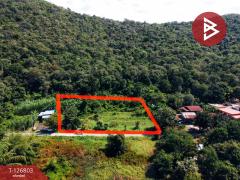 ขายที่ดินสวย เนื้อที่ 2 ไร่ 2 งาน 13 ตารางวา ติดเขาพะแวง อุทัยธานี วิวภูเขา ทำเลดี-202511181733581763462038006.jpg