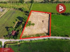 ขายที่ดินถมแล้ว เนื้อที่ 2 ไร่ 3 งาน 45 ตารางวา สามชุก สุพรรณบุรี-202511181744161763462656094.jpg