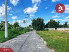 ขายที่ดินถมแล้ว เนื้อที่ 2 ไร่ 3 งาน 45 ตารางวา สามชุก สุพรรณบุรี-202511181744161763462656646.jpg