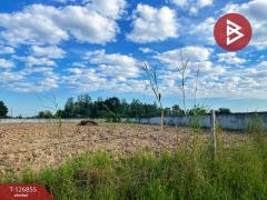 ขายที่ดินถมแล้ว เนื้อที่ 2 ไร่ 3 งาน 45 ตารางวา สามชุก สุพรรณบุรี-202511181744171763462657196.jpg