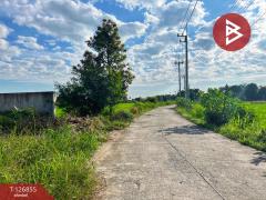 ขายที่ดินถมแล้ว เนื้อที่ 2 ไร่ 3 งาน 45 ตารางวา สามชุก สุพรรณบุรี-202511181744171763462657752.jpg