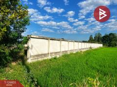 ขายที่ดินถมแล้ว เนื้อที่ 2 ไร่ 3 งาน 45 ตารางวา สามชุก สุพรรณบุรี-202511181744181763462658302.jpg