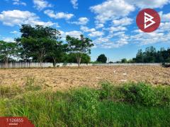 ขายที่ดินถมแล้ว เนื้อที่ 2 ไร่ 3 งาน 45 ตารางวา สามชุก สุพรรณบุรี-202511181744181763462658850.jpg