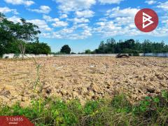 ขายที่ดินถมแล้ว เนื้อที่ 2 ไร่ 3 งาน 45 ตารางวา สามชุก สุพรรณบุรี-202511181744191763462659401.jpg