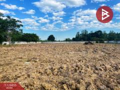 ขายที่ดินถมแล้ว เนื้อที่ 2 ไร่ 3 งาน 45 ตารางวา สามชุก สุพรรณบุรี-202511181744191763462659954.jpg