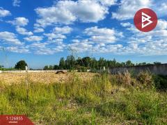 ขายที่ดินถมแล้ว เนื้อที่ 2 ไร่ 3 งาน 45 ตารางวา สามชุก สุพรรณบุรี-202511181744201763462660501.jpg