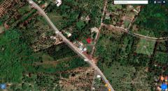 ขายที่ดินเปล่า แปลงสวยๆ บนเกาะสมุย ขนาด2ไร่2งาน1000ตร.วา ติดถนน สวย ราคาไม่เเพง คุ้มค่าการลงทุน-202511181929431763468983840.jpg