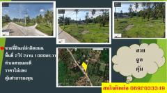ขายที่ดินเปล่า แปลงสวยๆ บนเกาะสมุย ขนาด2ไร่2งาน1000ตร.วา ติดถนน สวย ราคาไม่เเพง คุ้มค่าการลงทุน-202511181929451763468985499.jpg