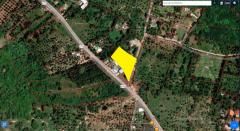 ขายที่ดินเปล่า แปลงสวยๆ บนเกาะสมุย ขนาด2ไร่2งาน1000ตร.วา ติดถนน สวย ราคาไม่เเพง คุ้มค่าการลงทุน-202511181929461763468986054.jpg