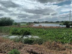 ขายที่ดินเปล่า ติดถนนหลวงหมายเลข 3496 ใกล้ตลาดร้อยปีสามชุก สุพรรณบุรี ขนาด 1 ไร่ 2 งาน 2 ตร.ว. ทำเลดี ราคาต่อรองได้  ราคา 750,000 บาท