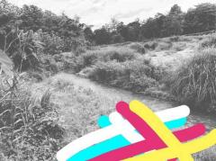 บอกขายที่ดินดีทำเลเหมาะน่าซื้อเก็บ ขายที่ดินติดลำธารน้ำใสไหลริน ชุ่มฉ่ำตลอดปี สวยวิวล้าน 800000บาท 3-0-35ไร่ อำเภอสันติสุข น่าน