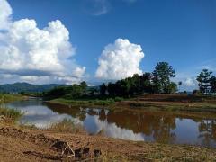 บอกขายที่ดินดีทำเลเหมาะน่าซื้อเก็บ ที่สวยติดแม่น้ำน่าน น้ำใสไหลรินตลอดปี  ต.ศรีภูมิ อ.ท่าวังผา จ.น่าน ขาย 800000  วิวดีสวยมาก 0968821857