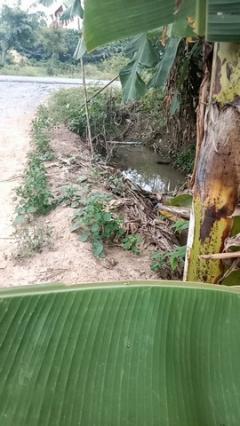 บอกขายที่ดินดีทำเลเหมาะน่าซื้อเก็บ ขายบ้านไม้ จ.สิงห์บุรี  วิถีไทย  ต.โพทะเล วิถีไทย 262 วา ต.โพทะเล อ.ค่ายบางระจัน สิงห์บุรี 500000บาท