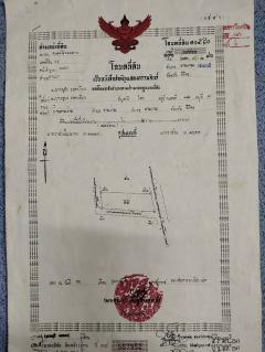 ขายที่ดินเปล่า ทำเลดี ติดถนน​ อำเภอวชิรบารมี จังหวัดพิจิตร -202511191053251763524405823.jpg