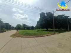 ขายที่ดินเดอะลากูน 3 เนื้อที่ 264 ตารางวา แปลงมุม ท้ายเกาะ สามโคก ปทุมธานี ติดทะเลสาบ-202511191111381763525498062.jpg