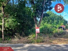 ขายที่ดิน เนื้อที่ 14 ไร่ 1 งาน 74 ตร.วา หันคา ชัยนาท