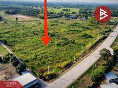 ขายด่วนที่ดินเปล่า เนื้อที่ 40 ไร่ 96.5 ตารางวา อ.ปากท่อ ราชบุรี ติดถนน-202511191216341763529394604.jpg