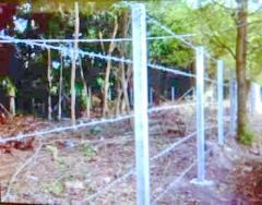 ใกล้ถนนใหญ่ ขายที่ดินเปล่ากั้นรั้ว  340 ตร.ว. PTT ปตท.บางคล้า 550 ม.ตลาดน้ำบางคล้า 3.6 กม. ถ.ฉะเชิงเทรา-กบินทร์บุรี 3121 