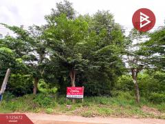 ขายที่ดิน เนื้อที่ 1 ไร่ 2 งาน 50 ตร.วา ตาคลี นครสวรรค์