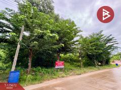 ขายที่ดิน เนื้อที่ 1 ไร่ 2 งาน 50 ตร.วา ตาคลี นครสวรรค์-202511191231501763530310175.jpg