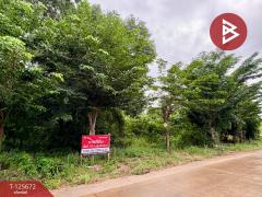 ขายที่ดิน เนื้อที่ 1 ไร่ 2 งาน 50 ตร.วา ตาคลี นครสวรรค์-202511191231501763530310729.jpg