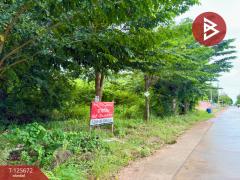 ขายที่ดิน เนื้อที่ 1 ไร่ 2 งาน 50 ตร.วา ตาคลี นครสวรรค์-202511191231511763530311282.jpg