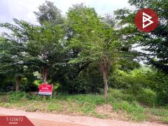 ขายที่ดิน เนื้อที่ 1 ไร่ 2 งาน 50 ตร.วา ตาคลี นครสวรรค์-202511191231511763530311839.jpg