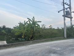 ขายที่ดินเปล่า 10 ไร่ 9 ตารางวา ต.ศาลายา อ.พุทธมณฑล จ.นครปฐม ถนนเชื่อมไปคลองโยง เลียบคลองตาหลี คลองมหาสวัสดิ์