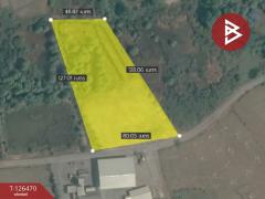 ขายที่ดิน เนื้อที่ 4 ไร่ 46 ตร.วา ขลุง จันทบุรี-202511191314111763532851109.jpg