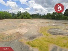 ขายที่ดิน เนื้อที่ 4 ไร่ 46 ตร.วา ขลุง จันทบุรี-202511191314121763532852197.jpg