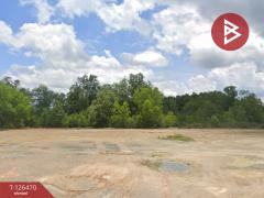 ขายที่ดิน เนื้อที่ 4 ไร่ 46 ตร.วา ขลุง จันทบุรี-202511191314141763532854570.jpg