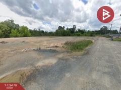 ขายที่ดิน เนื้อที่ 4 ไร่ 46 ตร.วา ขลุง จันทบุรี-202511191314151763532855113.jpg