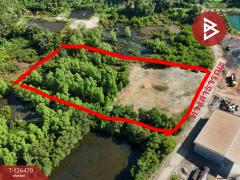 ขายที่ดิน เนื้อที่ 4 ไร่ 46 ตร.วา ขลุง จันทบุรี-202511191314161763532856739.jpg