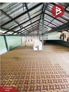 ขายทาวน์เฮ้าส์ หมู่บ้านพิบูลย์ทรัพย์1 หนองจอก กรุงเทพมหานคร พร้อมอยู่-202511191327021763533622216.jpg