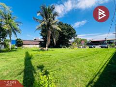 ขายที่ดินถมแล้ว-3-งาน-60-ตารางวา-ถนนปู