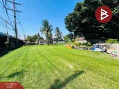 ขายที่ดินถมแล้ว 3 งาน 60 ตารางวา ถนนปู่เจ้าสมิงพราย พระประแดง สมุทรปราการ-202511191450461763538646759.jpg