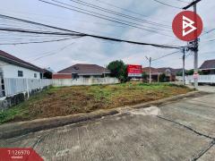 ขายที่ดิน ในหมู่บ้านเอเวอร์แลนด์วิลเลจ เนื้อที่ 50 ตร.วา บ้านโป่ง ราชบุรี-202511191455501763538950064.jpg