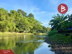 ขายบ้านสวนพร้อมที่ดิน เนื้อที่ 4 ไร่ 1 งาน 20 ตารางวา ท่ายาง เพชรบุรี-202511191505271763539527732.jpg