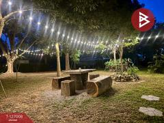 ขายบ้านสวนพร้อมที่ดิน เนื้อที่ 4 ไร่ 1 งาน 20 ตารางวา ท่ายาง เพชรบุรี-202511191505301763539530460.jpg