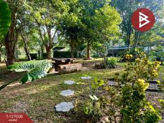 ขายบ้านสวนพร้อมที่ดิน เนื้อที่ 4 ไร่ 1 งาน 20 ตารางวา ท่ายาง เพชรบุรี-202511191505321763539532641.jpg